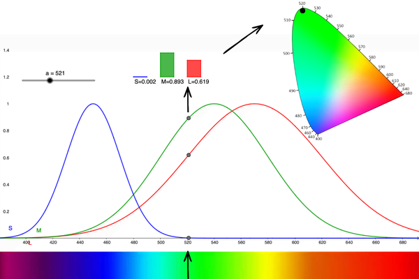 Modellierung der Farbwahrnehmung